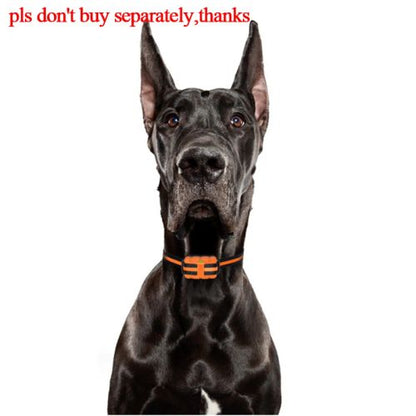 main.png