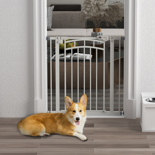 Pressure Fit Safety Gate w/ Auto Closing Door, for Small, Medium Dogs, 74-80cm